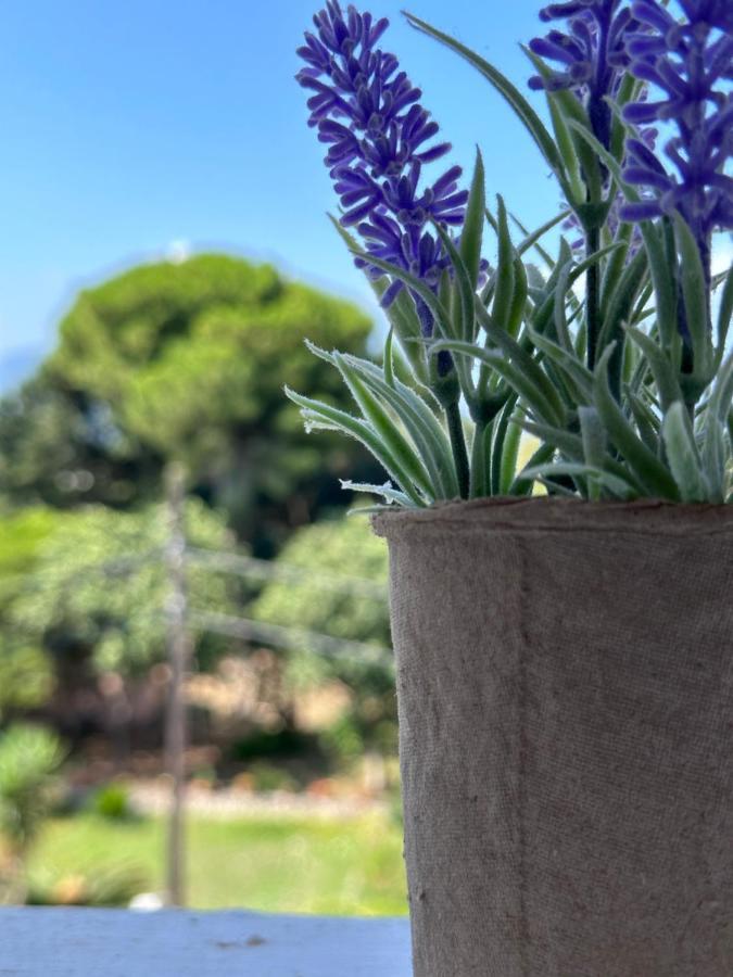 Olia Apartment Corfu  Екстер'єр фото