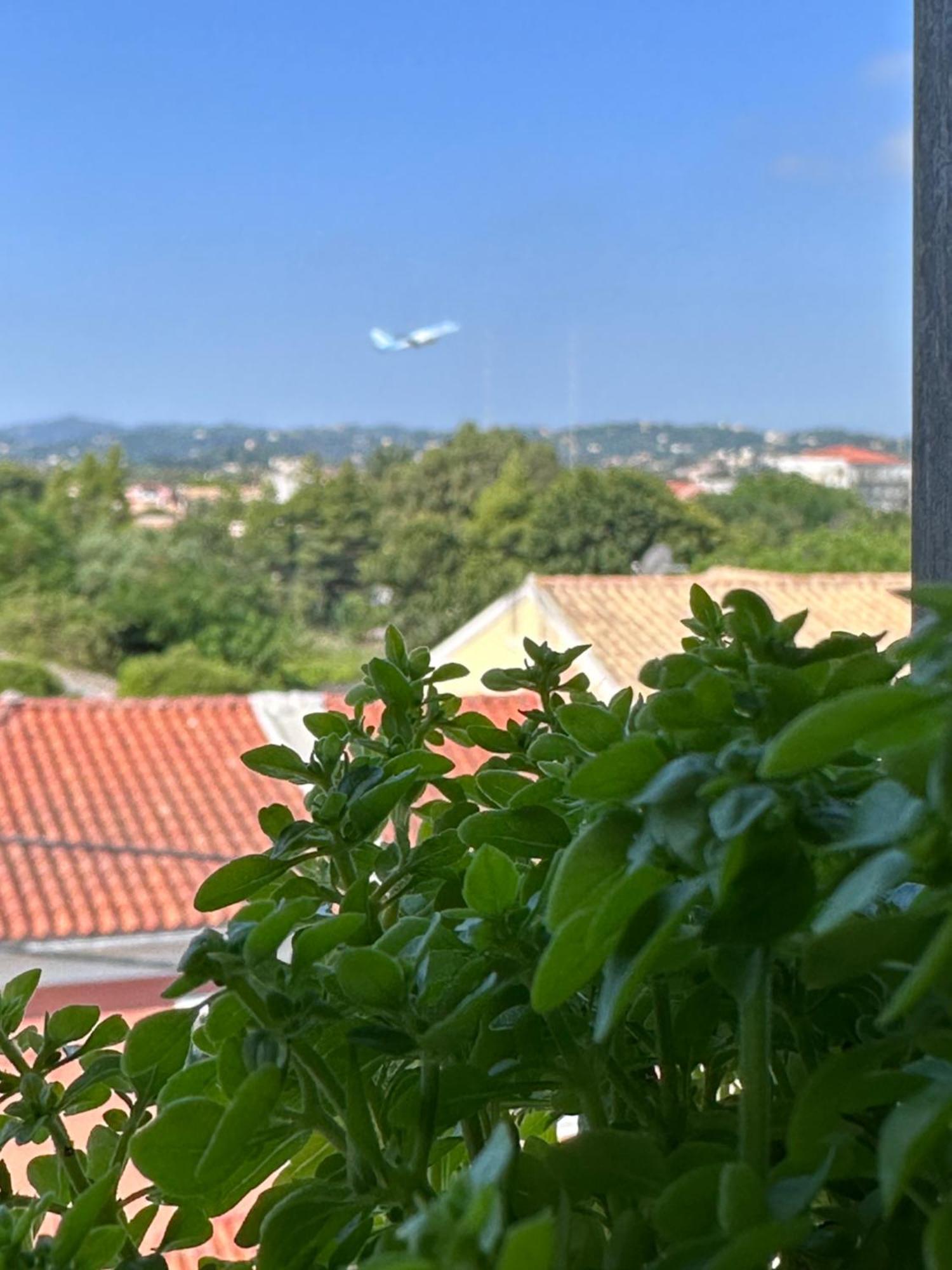 Olia Apartment Corfu  Екстер'єр фото